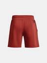Under Armour Project Rock Terry Gym Pantaloni scurti
